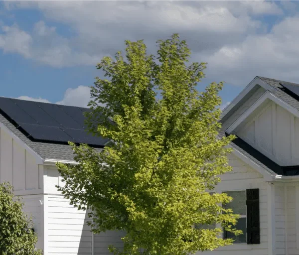 پنل خورشیدی مونو کریستال