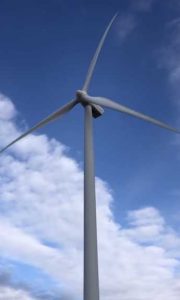 انرژی تجدید پذیر باد