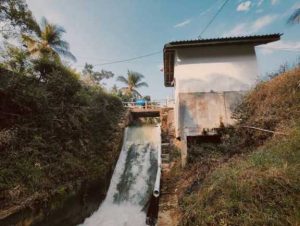 انرژی تجدید پذیر باد