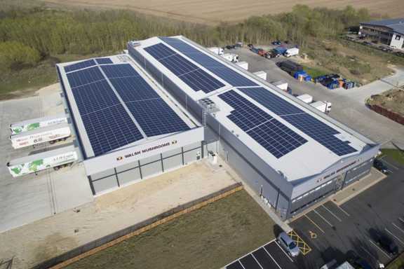 پنل خورشیدی برای خانه، پنل خورشیدی برای باغ، پنل خورشیدی برای ویلا، پنل خورشیدی برای خانه مسکونی، پنل خورشیدی در حیاط